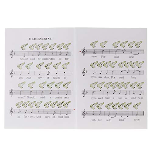 image for Jesse 12 Hole Alto D Ocarina, Ceramic Midrange Ocarina Musical Instrum