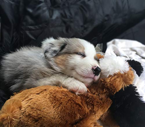 Snuggle Puppy Toy - Image 7