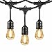 Feit Electric 48' LED Filament String Light Set
