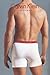 Calvin Klein Men's Prostretch Boxer Brief