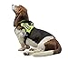 Dogline Custom Bright White Text Patch for Vest Harness Or Collar Customizable Text Personalized Patches with Hook Backing Name Service Dog in Training Emotional Support (2 Patches) - 1.5