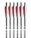 Carbon Express Gameslayer Carbon 20