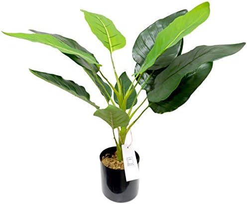 Color Decor ストレリチア オーガスタ 人工観葉植物 花 80 インテリア グリーン フェイク モデルルーム インテリアコーディネート 造鉢 大型 鉢植