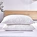 Dreaming Wapiti Pillows for Sleeping, Shredded Memory Foam Machine Washable Bamboo Cover, Adjustable Loft - Stomach Side Back Sleeper (Queen), White primary
