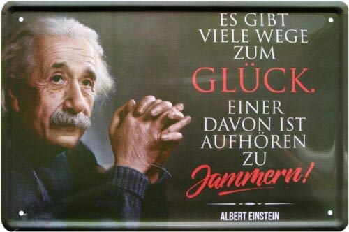 1129 Tin Sign with German Text "Es gibt viele Wegge zum Glück [There Are Many Ways to Happiness] 20 x 30 cm