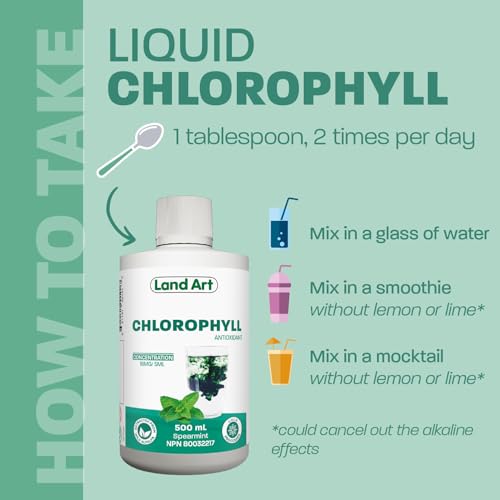 Liquid Chlorophyll Mint - Cold Extracted from Non-GMO Alfalfa - Clorofila - Detox Cleanse - Alkalization & Antioxidant Support - Vegan - Gluten Free - Made in Canada - 500 ml Bottle