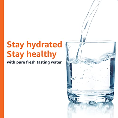 Amazon Basics Replacement Water Filters for Pitchers, Compatible with