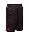 Under Armour Boys' Dominate Shorts