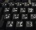 4Keyboard FARSI (PERSIAN) KEYBOARD STICKERS WITH WHITE LETTERING ON TRANSPARENT BACKGROUND