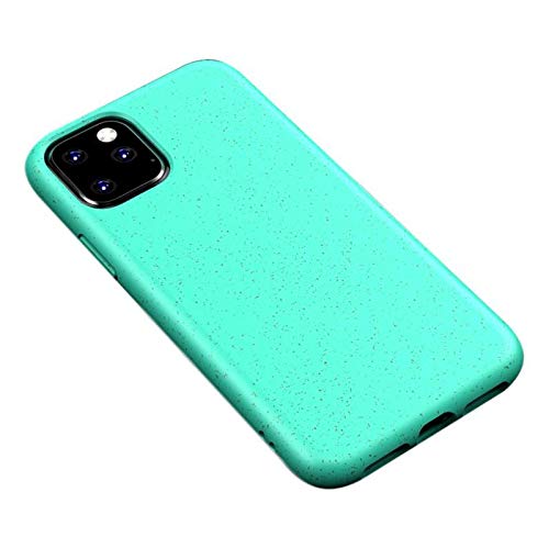 Lobwerk Protective Case for Apple iPhone 11 6.1 Inch Thin Case Outdoor Mobile Phone Cover Made of TPU Shockproof Extra Protection Lightweight