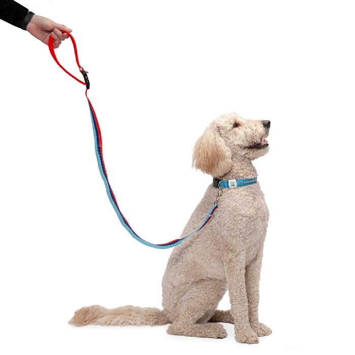 Furhaven Bungee Dog Leash w/ Quick Release Easy Tether - Classic Stripe, One Si…
