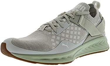 puma ignite evoknit men 2017