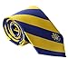 Sigma Alpha Epsilon Fraternity Necktie Tie Greek Formal Occasion Standard Length Width SAE (Stripped Crest Necktie)