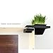 Catastrophic Creations Cat Planter Shelf — Standalone Planter Shelf/Add to Wall Mount Cat Furniture — Cat Climbing Shelves — Cat Floating Shelves — Cat Wall Shelves for Indoor Cats