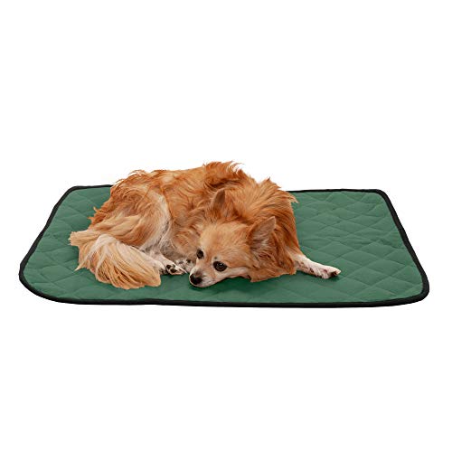 Furhaven Pet Dog Bed Heating Pad | ThermaNAP Quilted Plush Velvet Insulated Thermal Self-Warming Pet Bed Mat for Dogs & Cats, Moss, Small