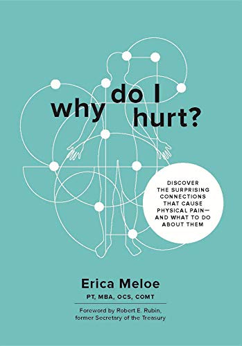 Why Do I Hurt?: Discover the Surprising Connections That Cause Physical Pain and What to Do About Th by Erica Meloe