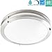 LUXRITE LED Flush Mount Ceiling Light, 18 Inch, Dimmable, 5000K Bright White, 2160lm, 30W Ceiling Light Fixture, Energy Star & ETL - Perfect for Kitchen, Bathroom, Entryway, and Living Room