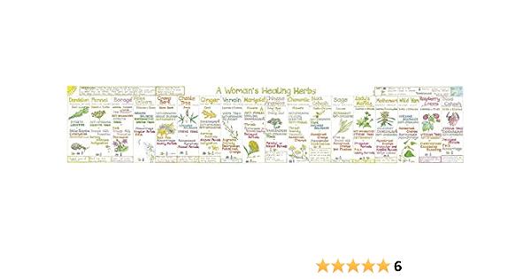 Orangeburst woman's healing wall chart 1 off (9780953622221)