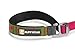 RUFFWEAR - Flat Out Hand-Held or Waist-Worn Dog Leash, Wildflower