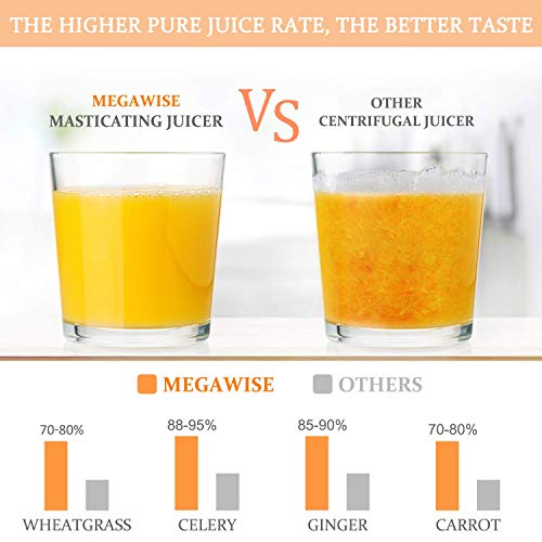 MegaWise Pro Slow Masticating Juicer 95 Juice Yield 2 Speed Modes 9
