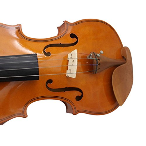image for D DOLITY 4/4 3/4 Violin Tailpiece w/Tail Gut for Violinist DIY Accesso