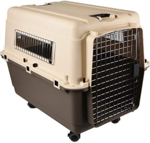 dog transport box
