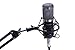 Condenser Microphone, Large Diaphragm Studio Mic Set, Recording Microphone Kit With XLR Cable, Wind Screen, Shock Mount, And Mic (Black)