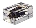 Celestron – Real 3D Bugs in Clear Resin – 4pc Set Includes Hornet, Black Camellia, Rose Chafer, and Spider – Perfect for Science Eduction and Classroom – Use with Digital and Stereo Microscopes
