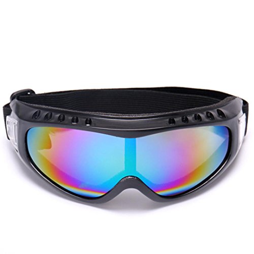 WensLTD Ski Goggles, Unisex Adult Winter Ski Snowboard Goggles With Anti-fog UV Dual Lens Design