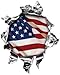 Weston Ink Reflective Mini Rip Torn Metal Bullet Hole Style Graphic Decal/Stricker with American Flag primary