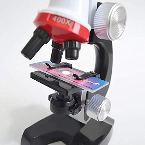 Kids Microscope, MMUSC Microscope for Student Beginner with LED Magnification,Includes Accessory Set