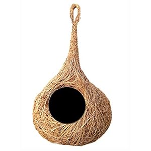 LIVEONCE Hold Ring Safest Round Organic Bird nest Purely Handmadelove Birds/Sparrow/Small Birds-Natural Color