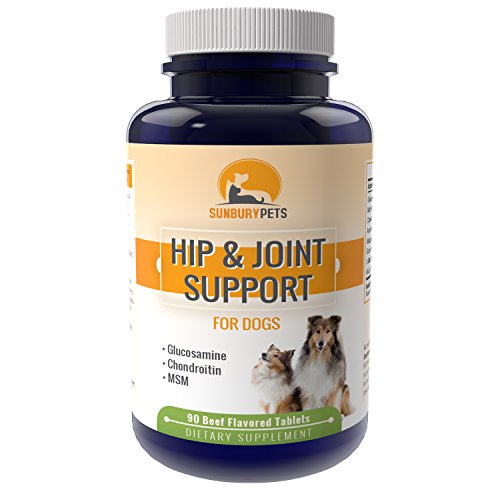 Hip and Joint Support for Dogs - Chondroitin & Glucosamine - MSM - Helps with Arthritis & Hip Dysplasia - Promotes Healthy Joints - Improves Mobility - 90 Chewable Tablets Hip and Joint Support for Dogs - Chondroitin & Glucosamine - MSM - Helps with Arthritis & Hip Dysplasia - Promotes Healthy Joints - Improves Mobility - 90 Chewable Tablets