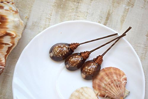 Seashell bobby pins beach wedding hair clips hair mermaid Accessories bridal shower gift bridesmaids accessory gift Bridal Girlfriend Baby girl Set of 3