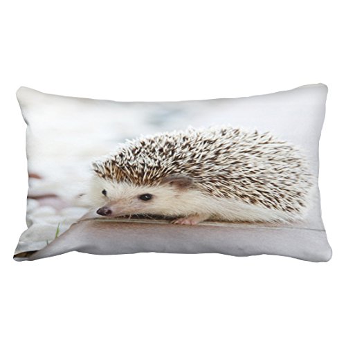hedgehog pillow case