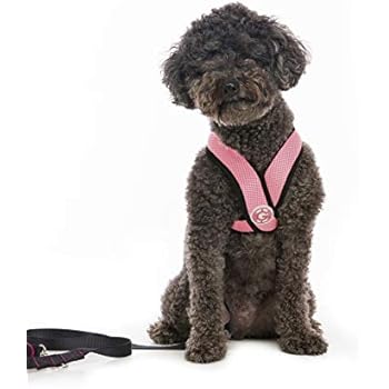 Gooby - Comfort X Head-in Harness, Choke Free Small Dog Harness with Micro Suede Trimming and Patented X Frame, Pink, Large