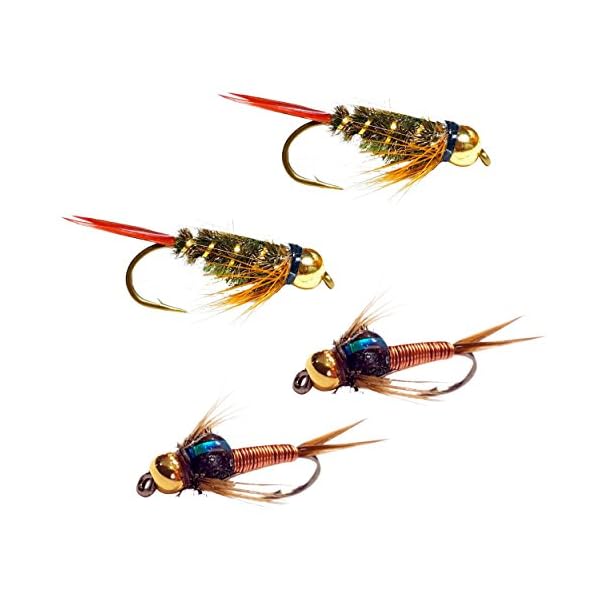 Go-to-Trout-Fly-Fishing-Nymph-Assortment-12-Flies Go-to-Trout-Fly-Fishing-Nymph-Assortment-12-Flies