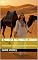 Livro A Princesa das Dunas de Zahiran: A Felicidade Oculta nos Oásis dos Desertos (Princesas dos Contos de Fadas Livro 1)