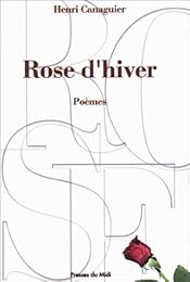 Rose d'hiver