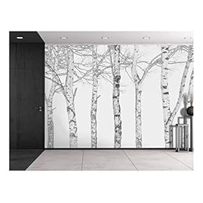 Black and White Outline of Aspen Trees - Wall Mural, Removable Sticker, Home Decor - 66x96 inches