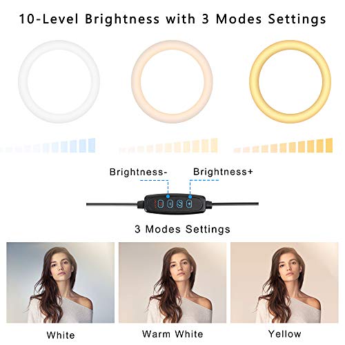 Dimmable Ring Light 12-Inch Led Beauty Photography Fill Light with Foldable Tripod Stand Cellphone Holder for Camera Phone YouTube Live Streaming Self-Portrait Selfie Video Studio Shooting