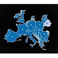 Europe GPS Map 2025 for Garmin Devices on microSD