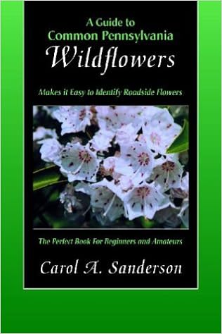 A Guide To Common Pennsylvania Wildflowers Sanderson Carol A 9780977655007 Amazon Com Books