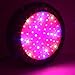 Apollo Horticulture GL60LED Full Spectrum 180W LED Grow Light for Plant Growing