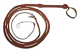 10 Foot 10 Plait Tan Real Leather BULLWHIP BULL WHIPS