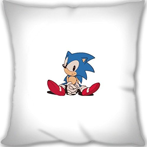 Best 2231762BA797582451F4 Custom Zippered Throw Pillow 45*45cm(18*18inch) Medium Size 450g(1lb) (Twin sides Print)- Sonic The Hedgehog Leaning Cushion Kysa L Hall's Shop