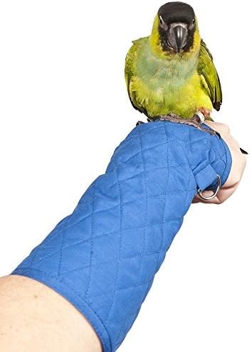 Medium, Parrot Arm Perch in Blue