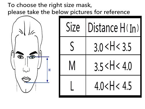 Full-Face-CAPA-Mask with Headgear (L)