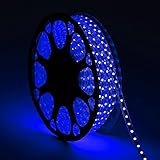 Buyagn Blue Rope Lights, 110v Flat LED Strip Lights