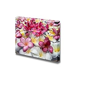Multicolored Plumerias Floating in The Water Wall Decor